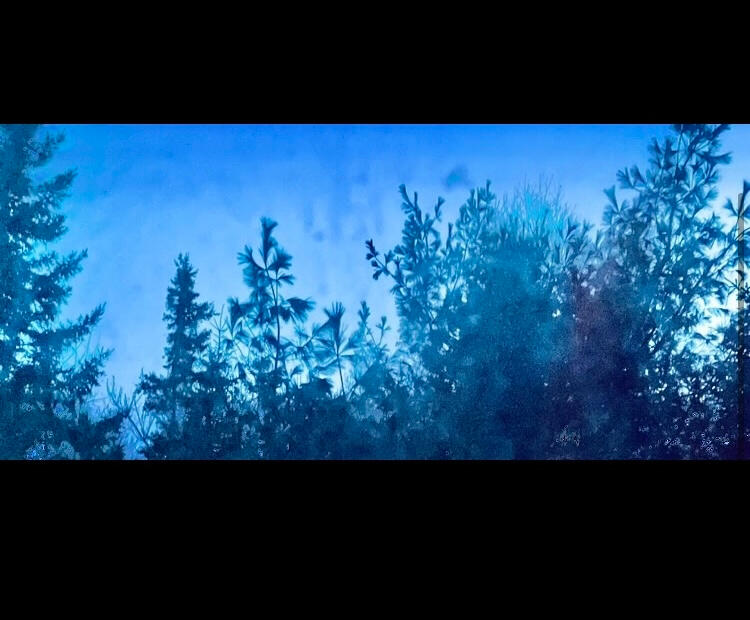 "After the hurricane I think many people in Cape Breton were happy to see the trees that were still here post storm, as we have a beautiful island really." Angela MacNeil