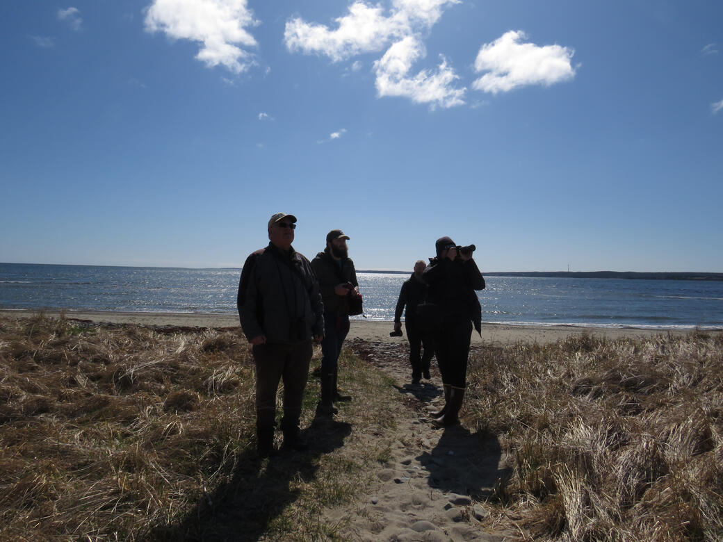 Naturalists observing tree swallows at Mira Gut during the City Nature Challenge, April 29, 2023. Photo by Alicia Penney.