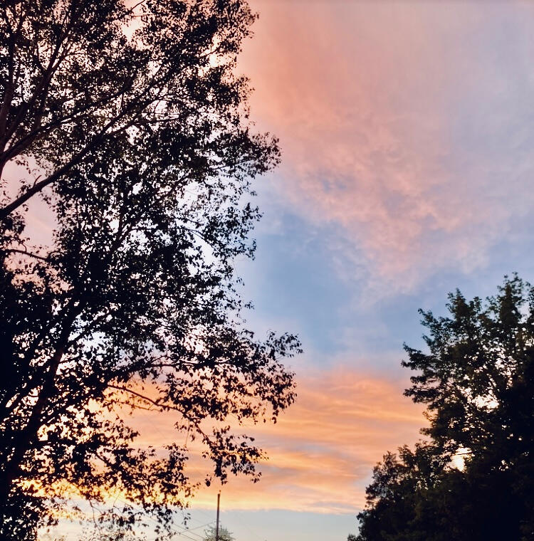 Thank you for your photos, Angela!