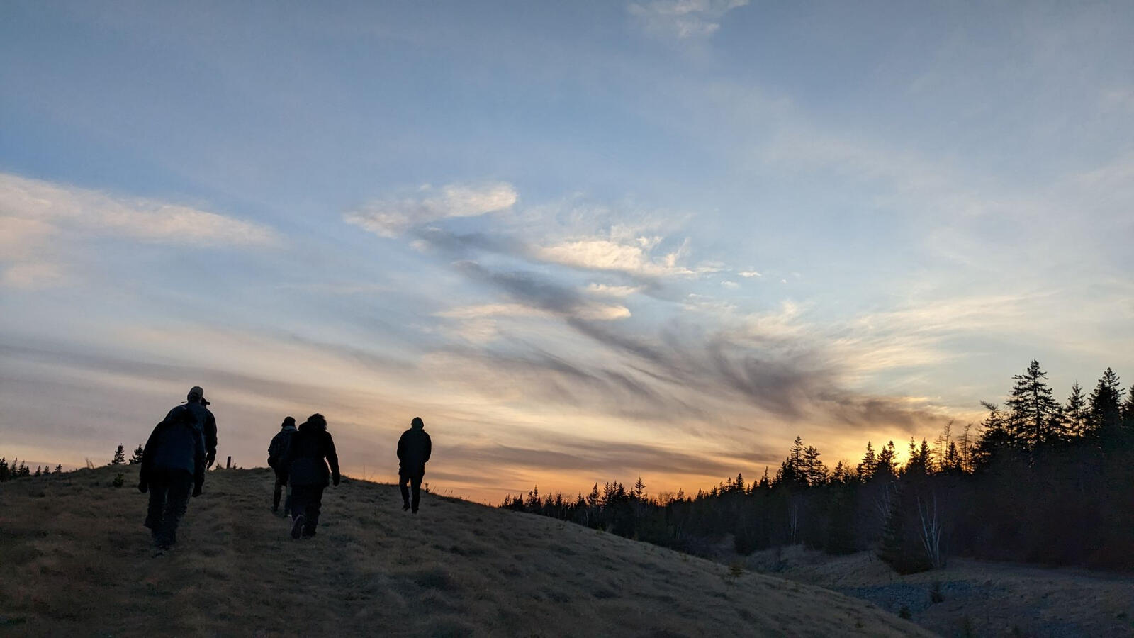 Hoping for Short-eared Owls in Broughton. No luck, but lots of nice nocturnal observations of other species like American Woodcock and Spring Peepers.