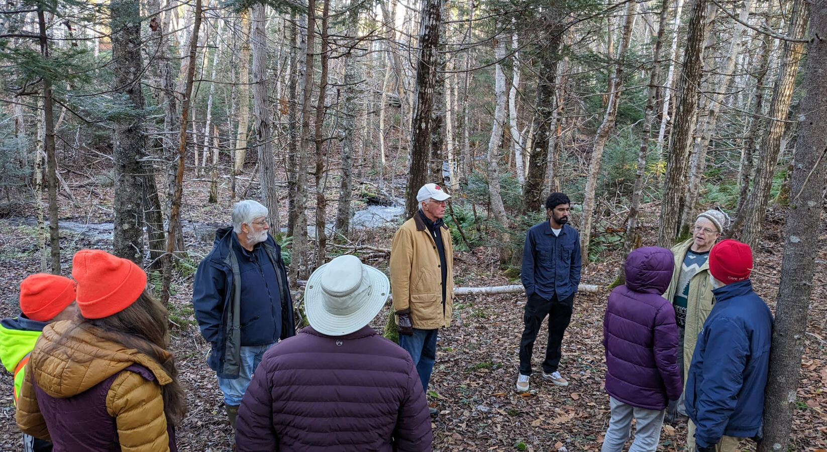 Our members were fascinated by how much you can learn about trees just by looking, if you know what to look for!