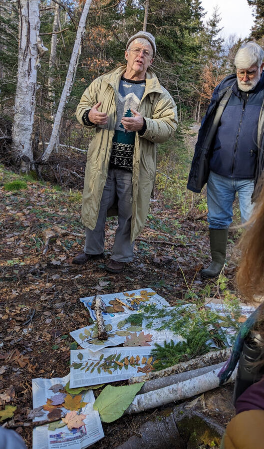 Bill English discusses the numerous species of trees which can be found in the acadian forest, and how to assess their health