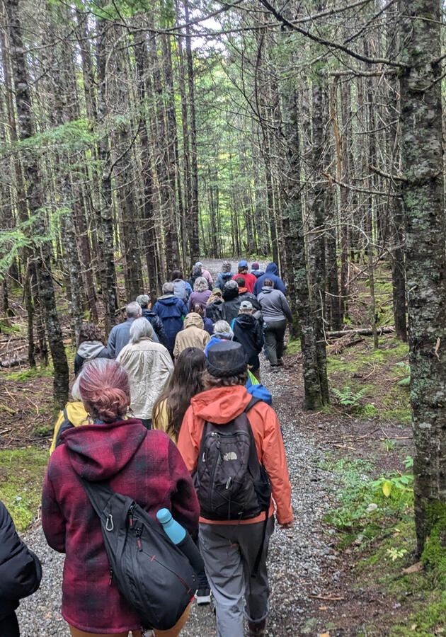 A great turnout for the fungus walk on September 28, 2024