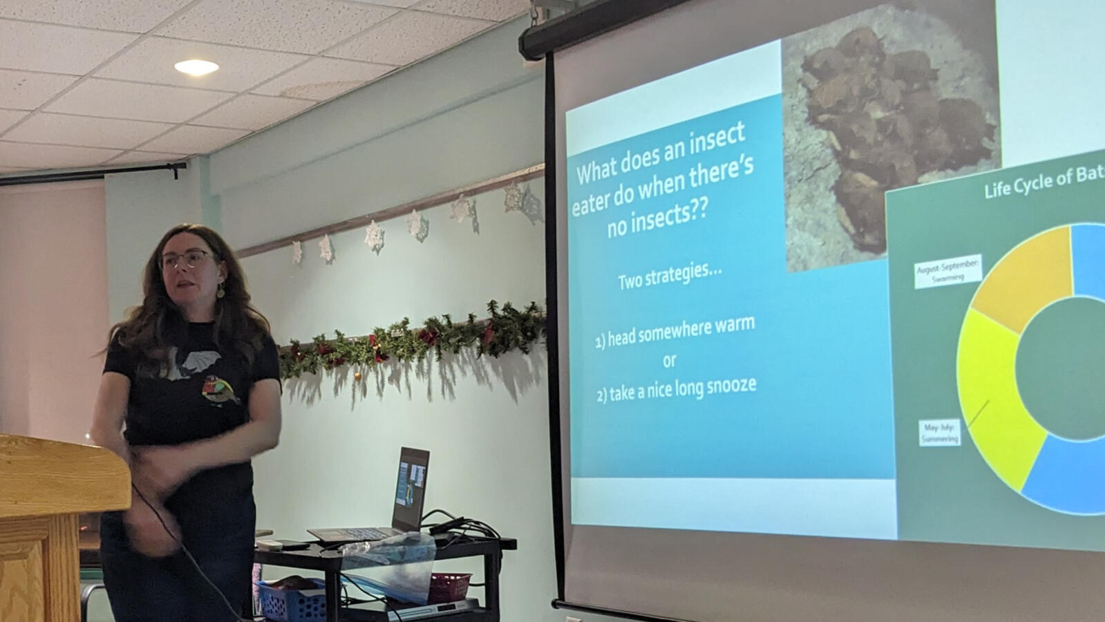 Past president of the CB Naturalists and wildlife biologist Maureen Cameron-MacMillan shares some good news about rebounding bat populations in Eastern NS.
